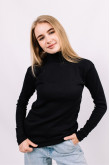 Женский Черный гольф водолазка с горловиной со стойкой и отворотом базовый классический