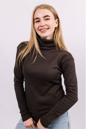 Женский Коричневый гольф водолазка с горловиной со стойкой и отворотом базовый